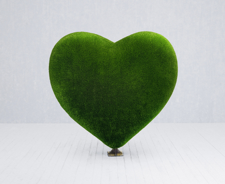 Heart