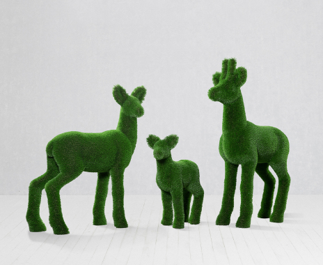 Set roe deers