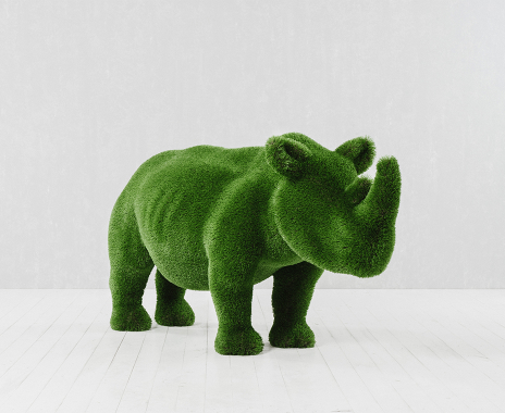 Rhinoceros