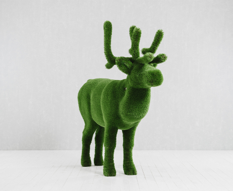 Deer