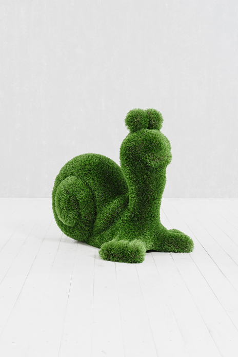 Snail