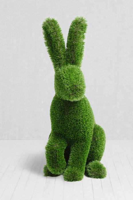 Sitting rabbit