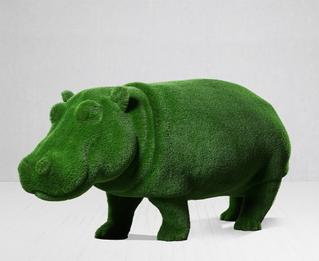 Hippo