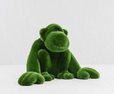 Monkey